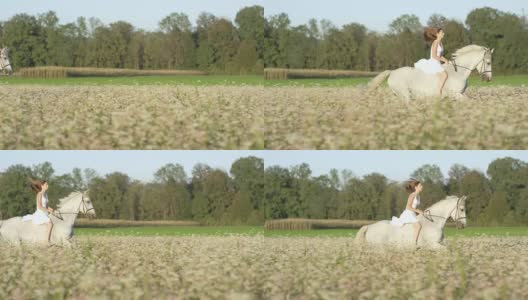 慢镜头:天真的年轻女子骑着白马在粉红色的盛开的田野里高清在线视频素材下载