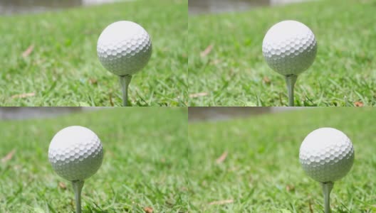高尔夫球在地上，在木上，绿色的，高尔夫球，流行于泰国。高清在线视频素材下载