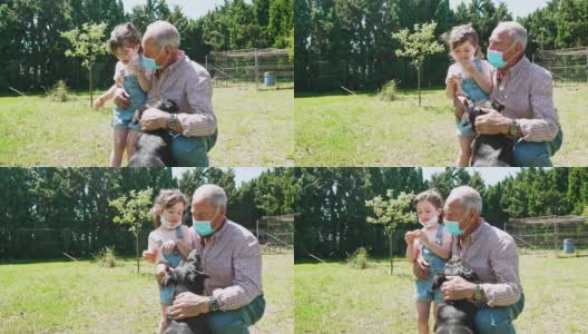 大流行期间，孙女和祖父在花园里与狗玩耍高清在线视频素材下载