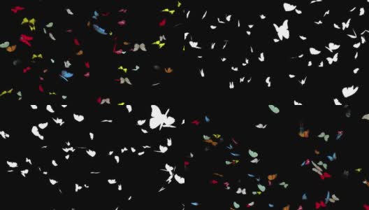 彩色蝴蝶飞行在全屏幕与阿尔法通道高清在线视频素材下载