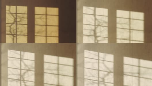 落日的余晖在墙上留下了树和窗的影子。高清在线视频素材下载