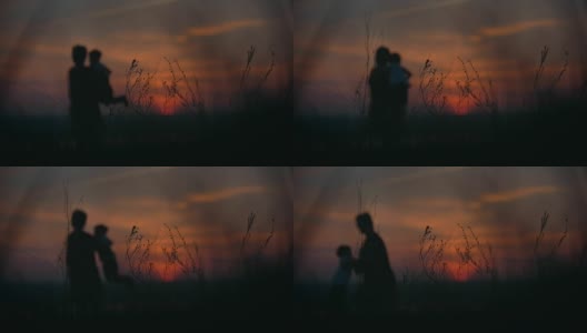 剪影的母亲和小儿子在夏季日落通过草地的乐趣高清在线视频素材下载