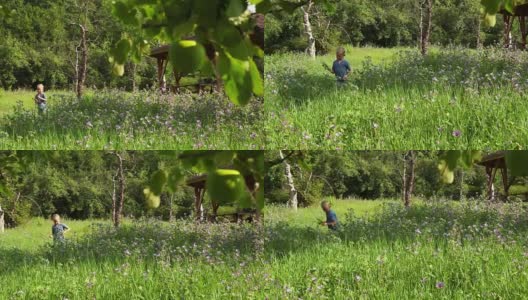 一个男孩穿过花园，在路上收集鲜花高清在线视频素材下载