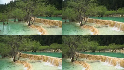 平移视图:五色池与饱和颜色的黄龙谷景观，四川，中国高清在线视频素材下载
