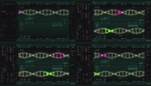 DNA分析接口监视器高清在线视频素材下载