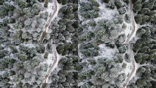 雪中的小径高清在线视频素材下载