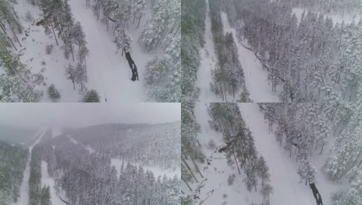 冬雪松林高高在上。摄像机升起，露出滑雪场高清在线视频素材下载