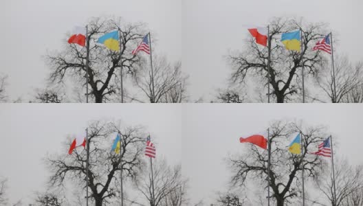 冬季，光秃秃的树背景上的旗杆上插着波兰、美国和乌克兰的国旗。与欧洲和美国的伙伴关系高清在线视频素材下载