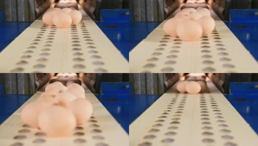 工厂里的鸡蛋分拣流水线高清在线视频素材下载