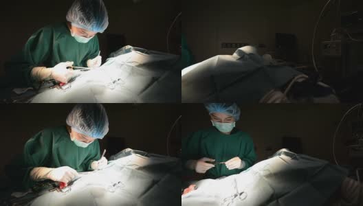 兽医外科医生在手术室高清在线视频素材下载