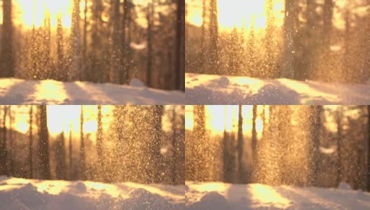 日出时，闪闪发光的雪花落在积雪的森林空地上高清在线视频素材下载