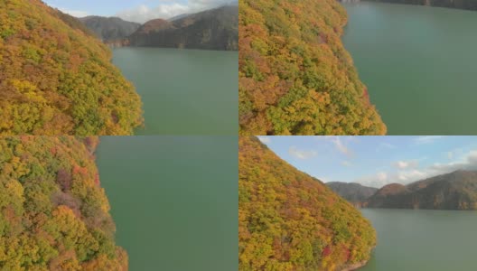 鸟瞰河俣湖和秋叶，日木，日本高清在线视频素材下载
