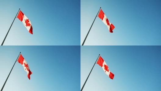 加拿大国旗在天空中飘扬高清在线视频素材下载
