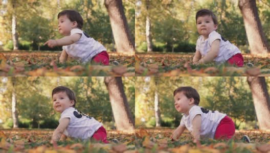 在美丽的秋日里，一个快乐的小男孩在公园里爬行高清在线视频素材下载