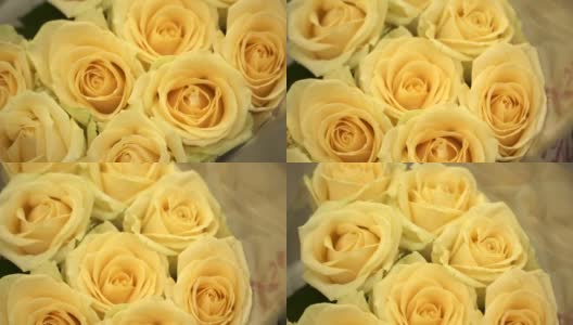 白玫瑰。乳白色的玫瑰。黄色的花朵。花瓶里的一束切花。高清在线视频素材下载