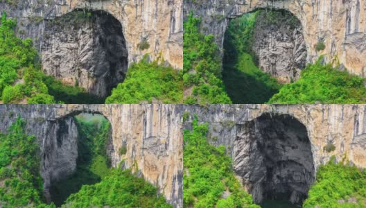 There is a huge cave in the virgin forest高清在线视频素材下载