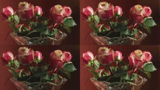 一缕阳光在镜子里反射在花瓶里的玫瑰上高清在线视频素材下载
