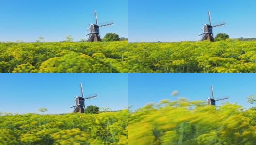 美丽的荷兰风车和莳萝高清在线视频素材下载