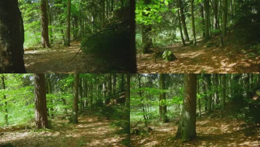 通过Spring Forest的万向节(4K/UHD to HD)高清在线视频素材下载