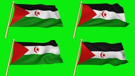 西撒哈拉旗动画高清在线视频素材下载