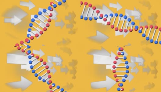 数字动画的dna结构旋转在多个箭头图标上的黄色背景高清在线视频素材下载