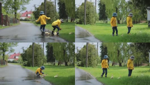 美丽的孩子们，和小鸭子在雨中玩耍，夏天的时光高清在线视频素材下载