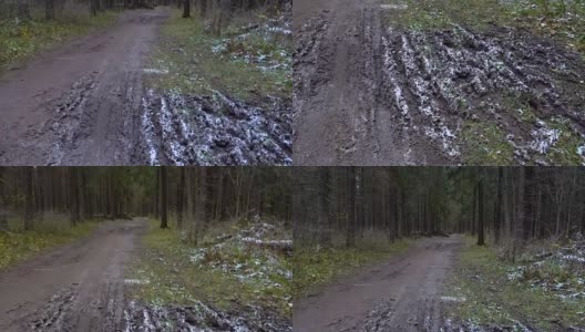 拍摄森林中泥泞的水坑高清在线视频素材下载