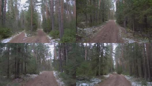 松林里结冰的泥泞道路高清在线视频素材下载