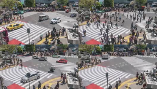 涩谷十字路口的人群高清在线视频素材下载