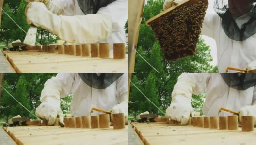 一个三十多岁的白种养蜂人戴着一顶养蜂帽，面纱和手套，用一个工具把一个框架从一个蜂巢移出户外高清在线视频素材下载