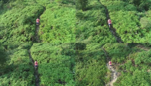 一位超级马拉松选手在热带雨林的山坡上奔跑的鸟瞰图，4k高清在线视频素材下载