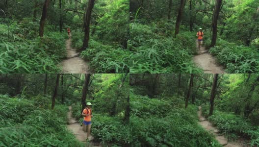 鸟瞰图的女子trail runner跑在热带森林高清在线视频素材下载