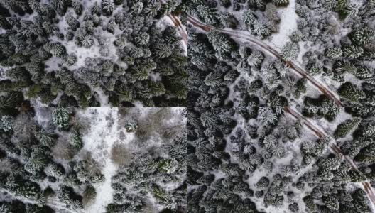 雪中的小径高清在线视频素材下载