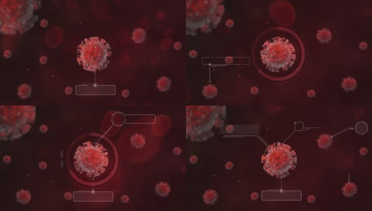 虚拟冠状病毒爆发疾病传播感染分析，科学家监控屏幕3D动画计算机用户界面，健康科学技术未来背景高清在线视频素材下载