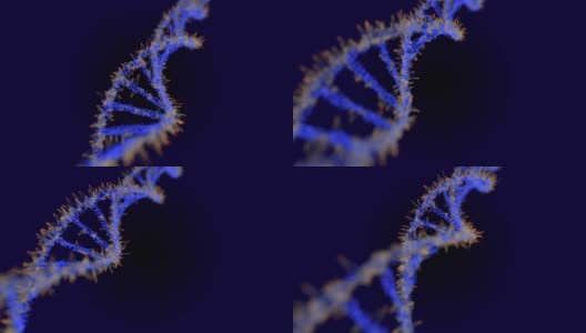 神经丛DNA分子模型，3D渲染DNA旋转在黑暗的背景高清在线视频素材下载