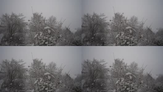 一个多云的冬天，在Zürich市下了一场大雪，一个年轻人正在下山。高清在线视频素材下载