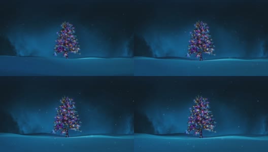 雪地里的圣诞树高清在线视频素材下载
