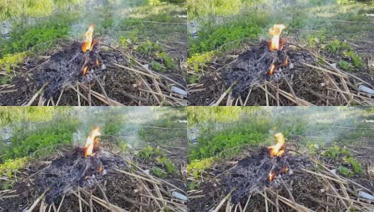 花园里有一团火在燃烧高清在线视频素材下载