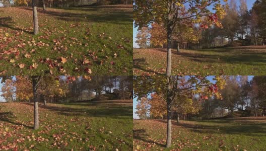 美丽的秋天景色高清在线视频素材下载