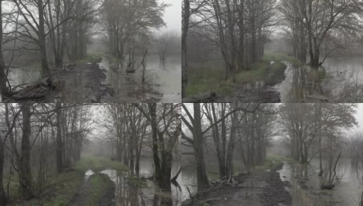 在一场严重风暴后的大雾中，农场被淹的道路高清在线视频素材下载