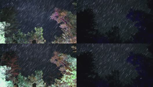 大松树树顶的星径高清在线视频素材下载