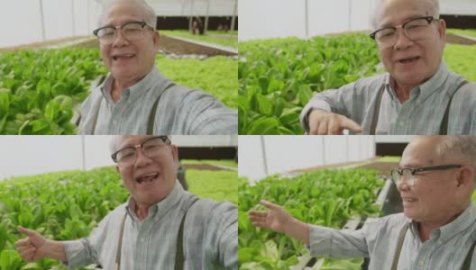 年长男性农场小企业主直播谈话观众追随者，亚洲女性走脱口秀新鲜蔬菜视频电话智能手机与兴奋的pov镜头高清在线视频素材下载