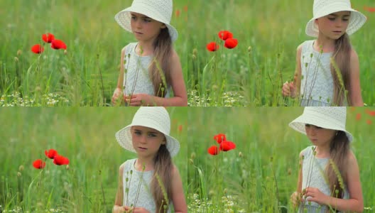夏日里盛开野花的白人女孩高清在线视频素材下载