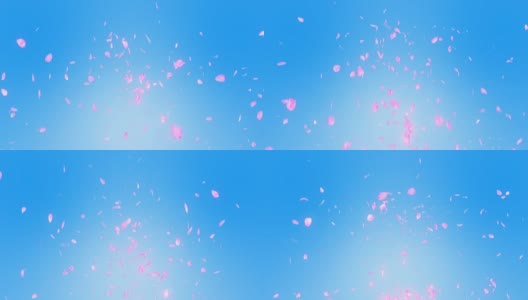 樱花花瓣落在蓝色背景，循环闪烁动画，高清在线视频素材下载