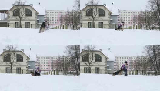 一个穿着冬季夹克的女人在雪地里和一只德国牧羊犬玩耍高清在线视频素材下载