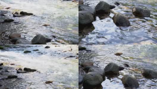 清澈的水从乔洛山谷的岩石溪流中流过高清在线视频素材下载