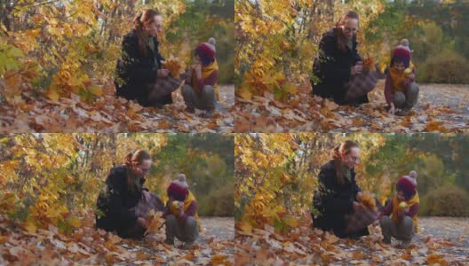 一家人在公园里享受晴朗的秋日高清在线视频素材下载