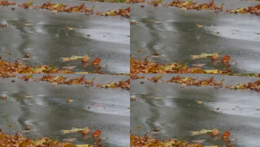 多雨的秋天的天气。大雨滴在沥青路旁的枯黄的秋叶。树叶从树上飘落到地上高清在线视频素材下载