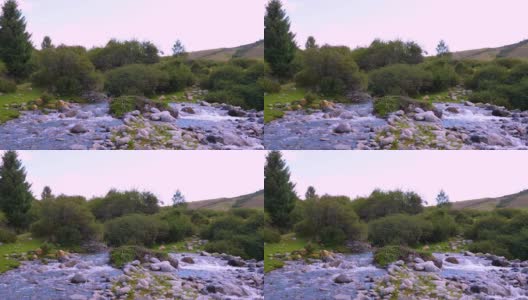 美丽的风景与山区河流在森林吉尔吉斯斯坦高清在线视频素材下载