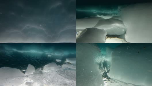 在南极洲潜水高清在线视频素材下载